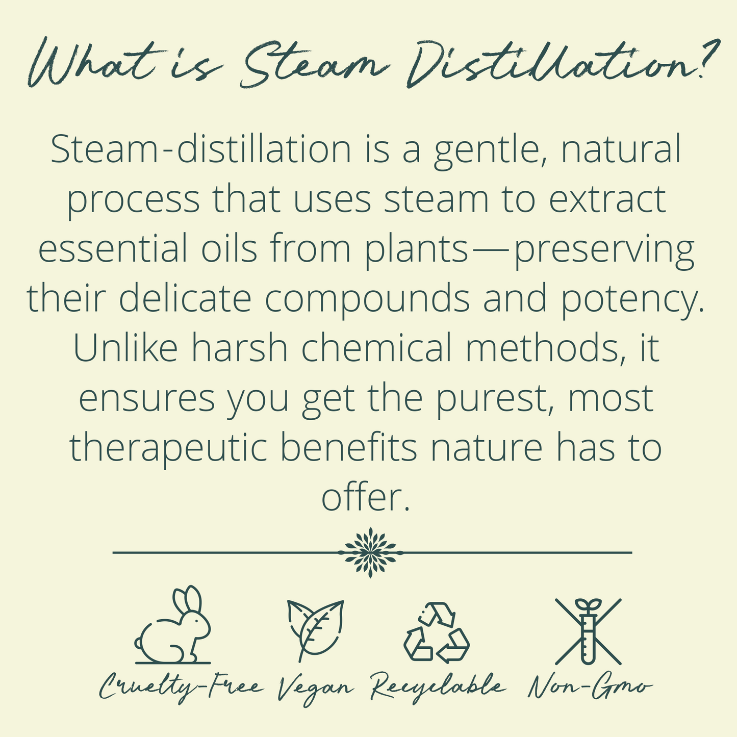 Premium Coconut MCT & Peppermint Organic Pulling Oil