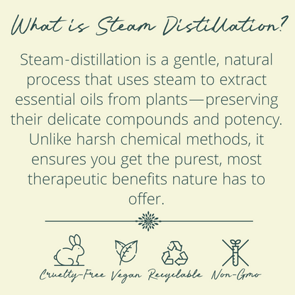 Premium Coconut MCT & Peppermint Organic Pulling Oil