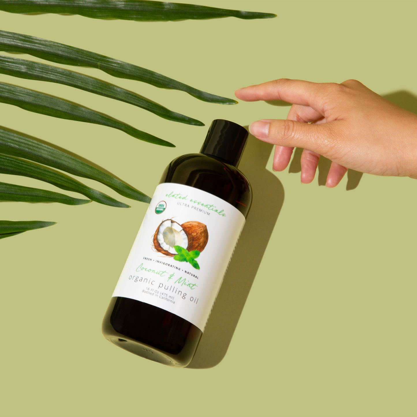 Premium Coconut MCT & Peppermint Organic Pulling Oil